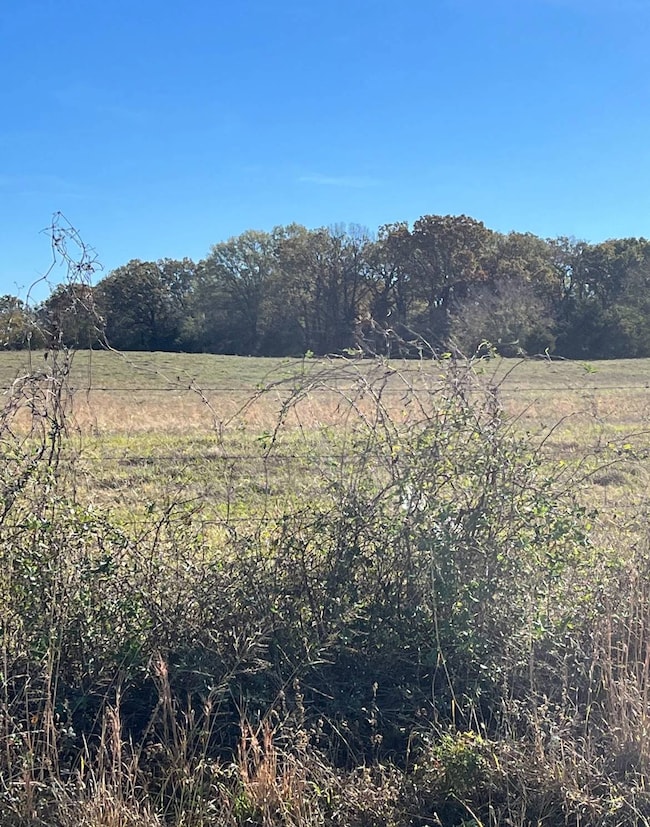 Tract 22 Waymire Road, Howe, OK 74940 - photo 2