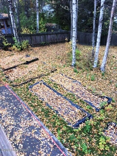 backyard 1