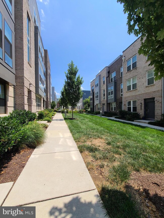 13361 Launders St, Herndon, VA 20171 - photo 3