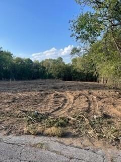 711 W Parnell St, Denison, TX 75020 - photo 3