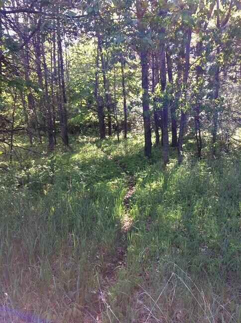 9198 W Grant St, Beaver Township, MI 49309 - photo 5