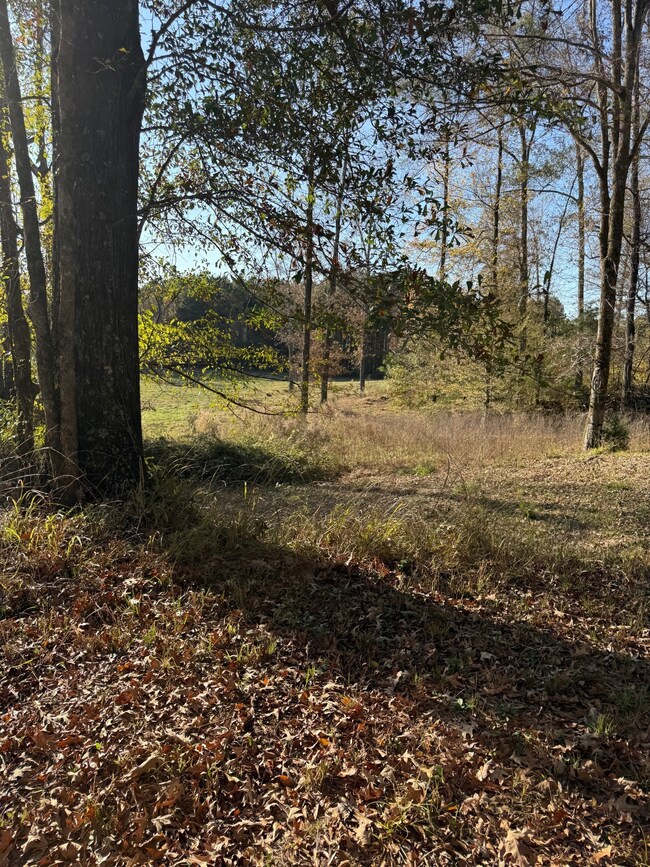 955 Fonsylvania Rd, Vicksburg, MS 39180 - photo 7