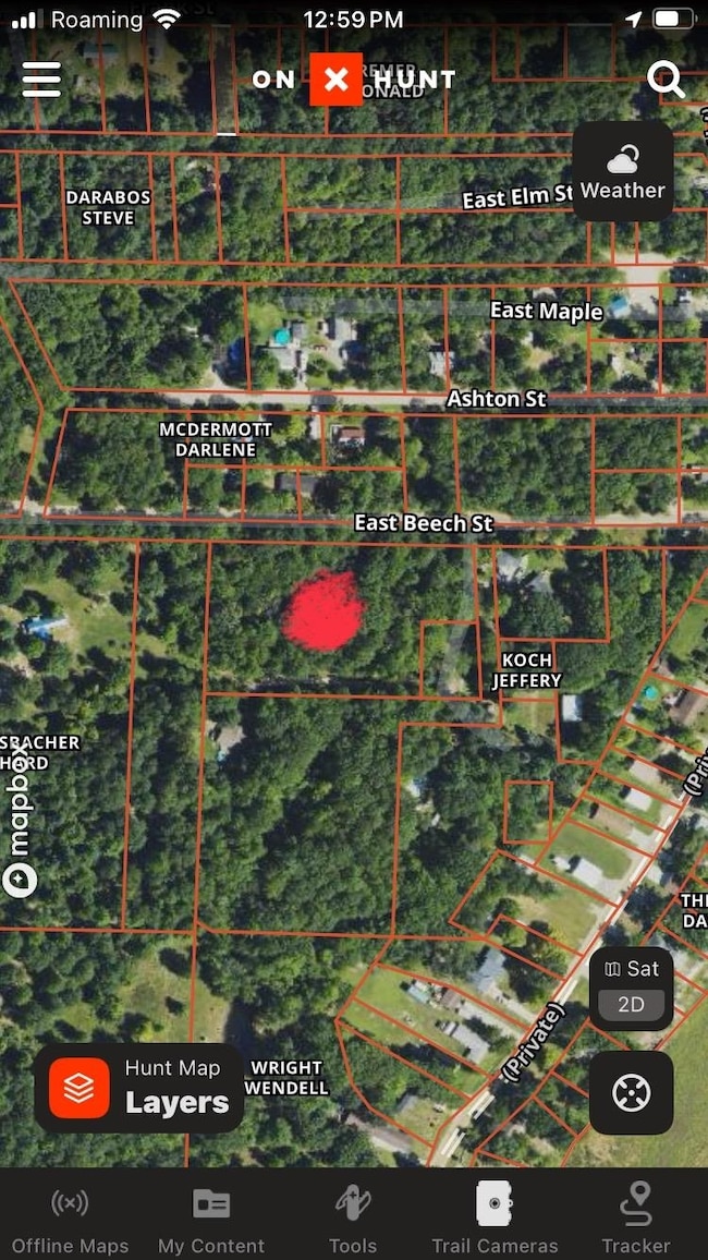 3642 Beech St, Beaverton, MI 48612 - photo 6