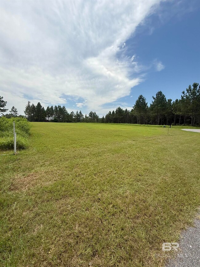 54 Hampton Ridge Ct unit 37, Mobile, AL 36608 - photo 7