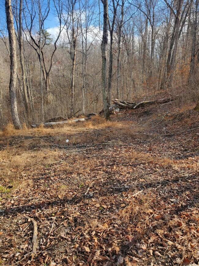 129 Buckeye Dr, Burnside, KY 42519 - photo 3