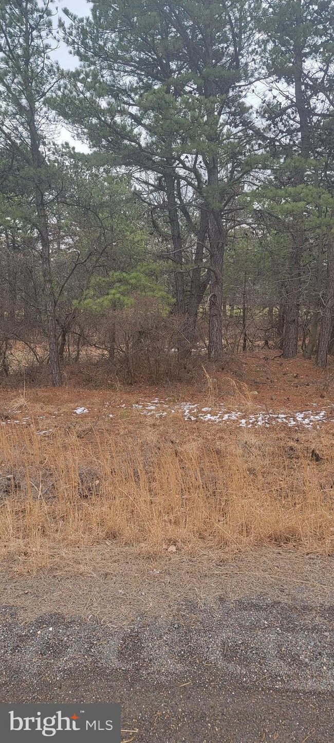 ERII 331 Glen Eagle, Hazle Township, PA 18202 - photo 4