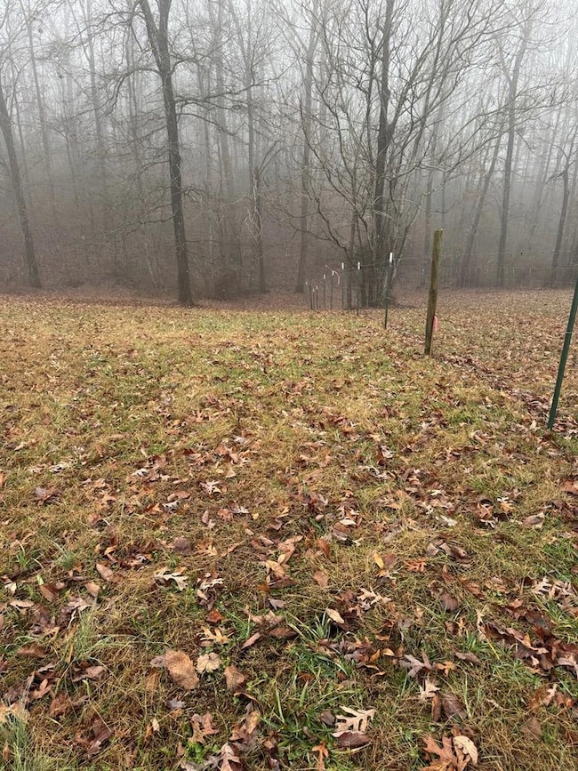 1479 Bee Rock Rd, Monterey, TN 38574 - photo 3