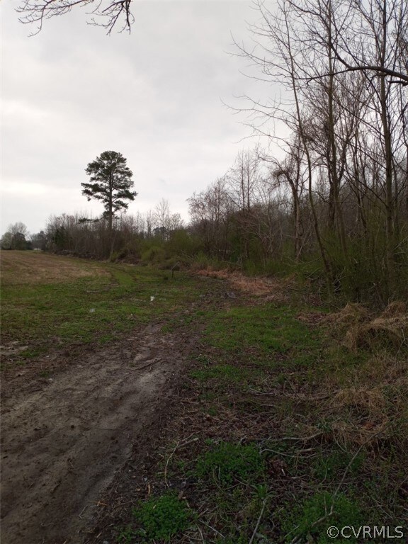 0 Webb Rd unit 2108271, Prince George, VA 23842 - photo 5