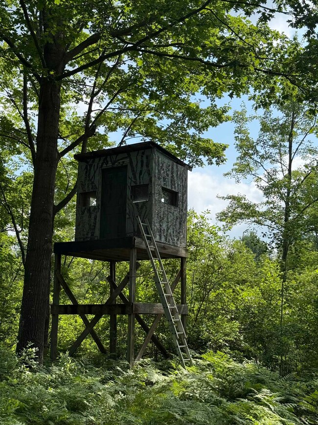 VL 61.11 Acres E Howard Rd, Hay Township, MI 48612 - photo 7