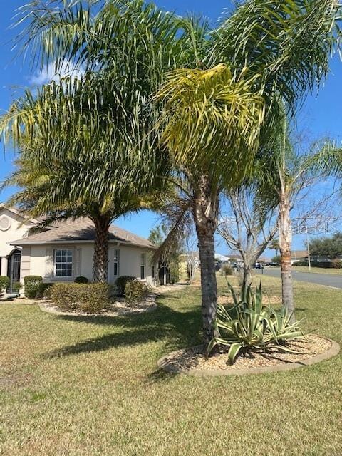 Front Ext #2
