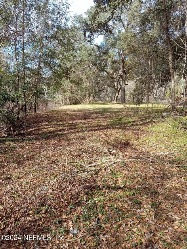 2905 Creek St, Middleburg, FL 32068 - photo 2