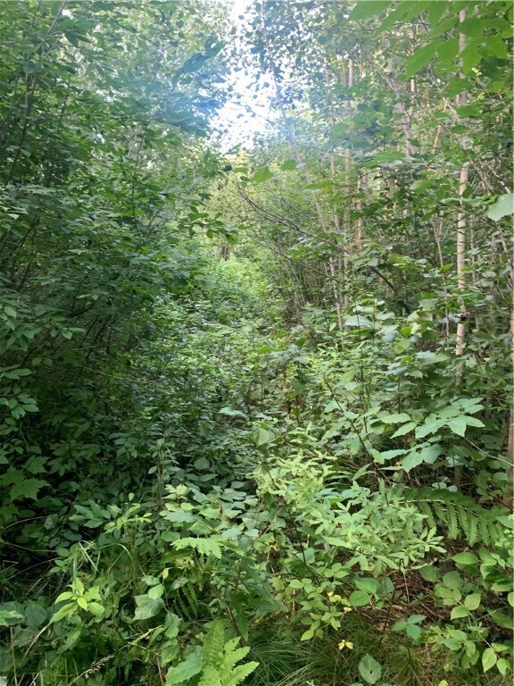 Lot 4 Barrett Rd, Trego, WI 54888 - photo 7