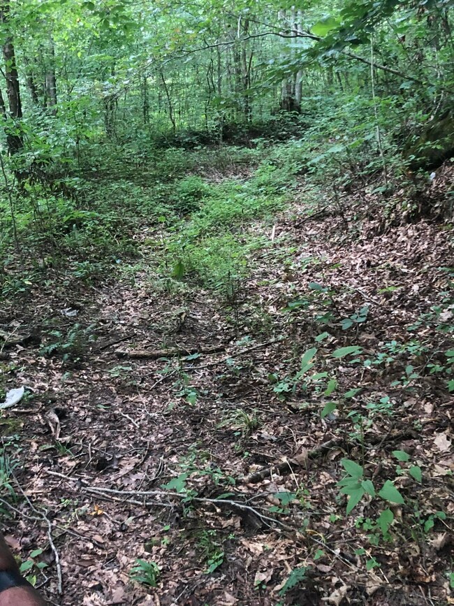 6A00079B-128A-4923-A566-D7A82F34FE15