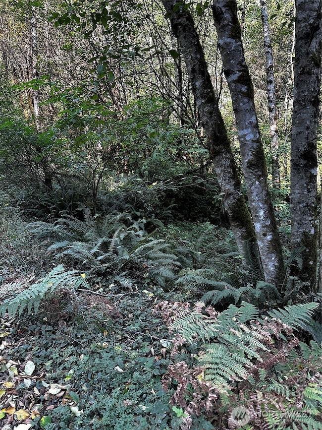 14413 109th St SW, Gig Harbor, WA 98329 - photo 2