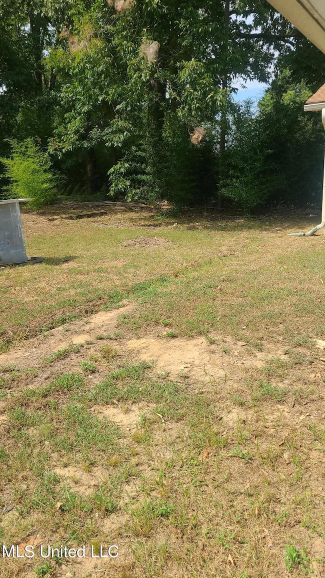 SINGLETON BACK YARD