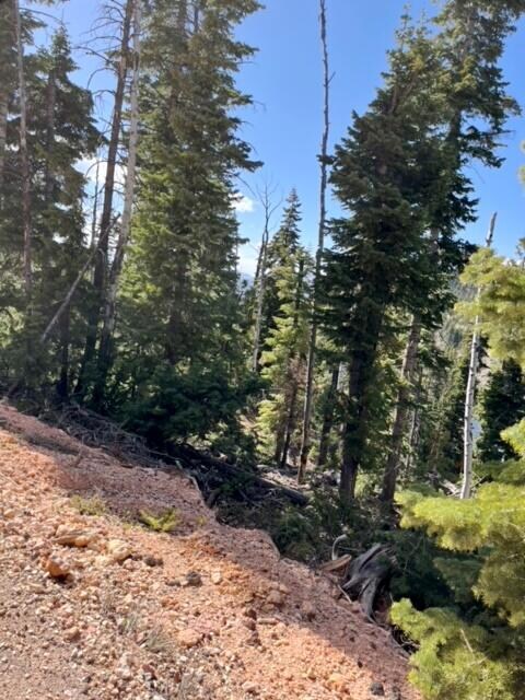 1110 W Big Horn Cir, Duck Creek Village, UT 84762 - photo 2