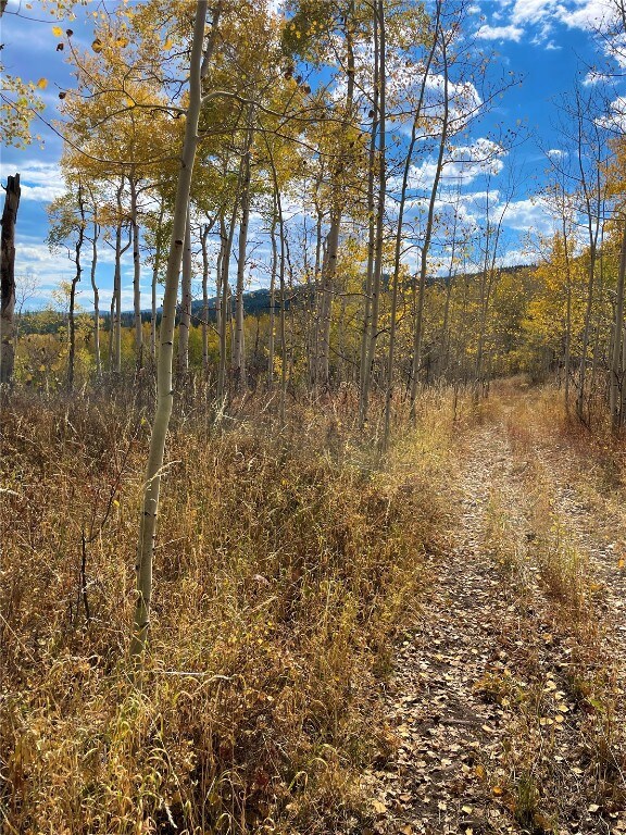 tbd Colt Trail, Oak Creek, CO 80467 - photo 6