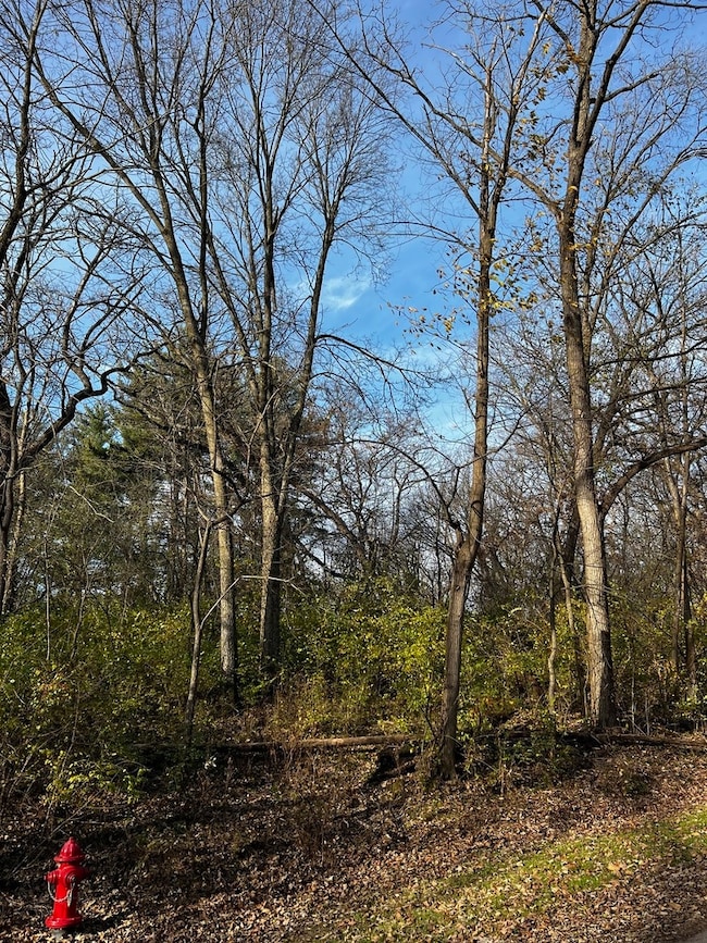 107 Maple Ln, Dixon, IL 61021 - photo 3