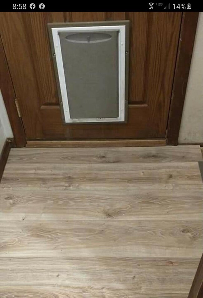 doggy door
