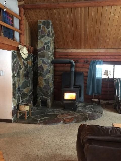 New Wood Burning Stove