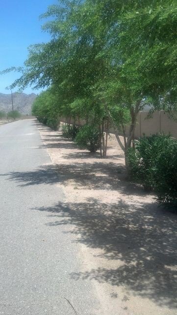 East side view of Trees & Street