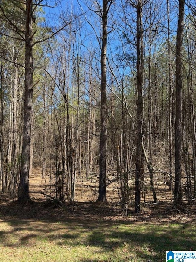 0 Kensington Blvd unit 21413574, McCalla, AL 35111 - photo 3