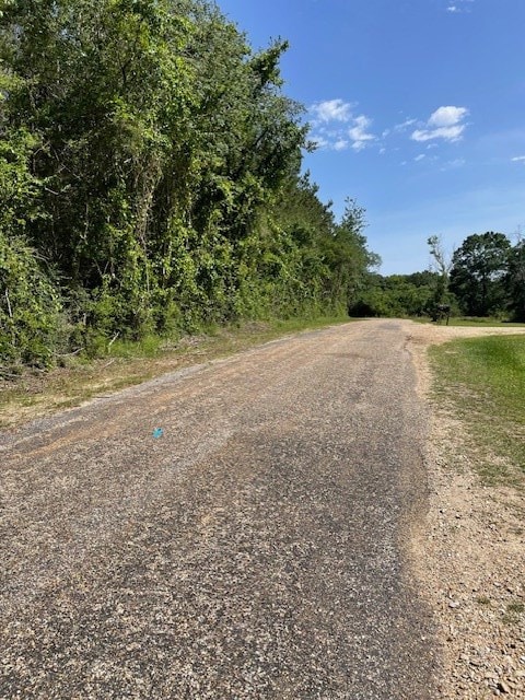 0 Tom Warner Rd, Tylertown, MS 39667 - photo 7