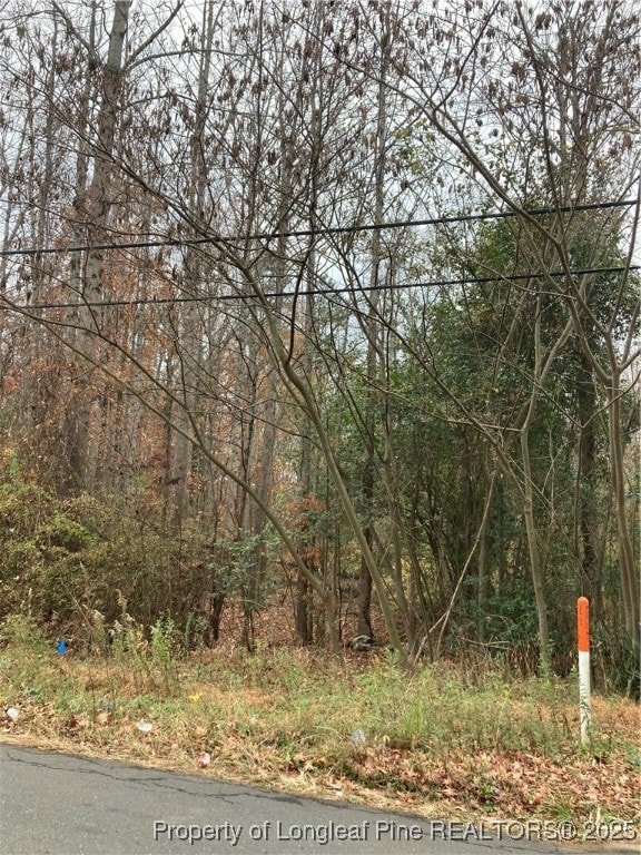 1333 Caldwell Williams Rd, Charlotte, NC 28216 - photo 5