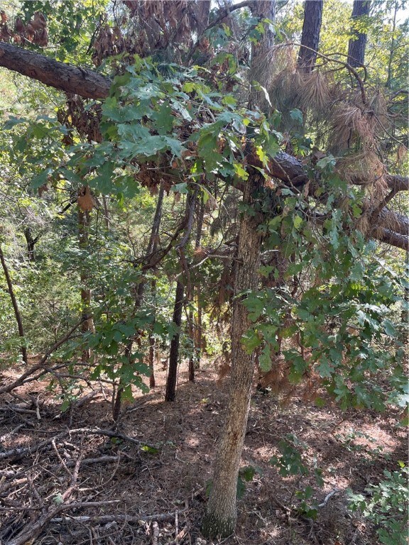 0 Hawnby Ln unit 1233701, Bella Vista, AR 72715 - photo 3