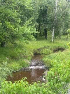 15370 Mallard Rd, Mission Creek Township, MN 55007 - photo 5