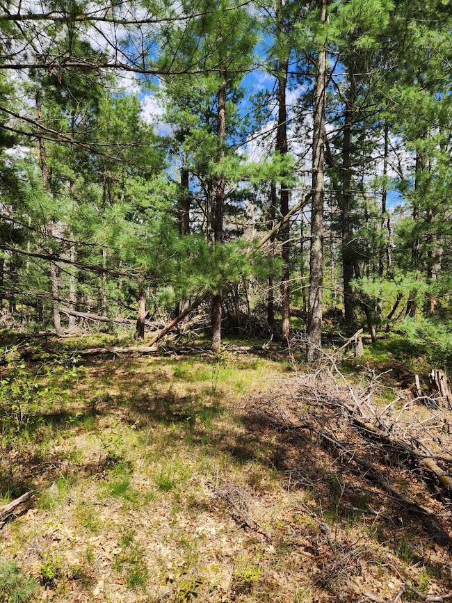 8950 Chatman St, Pleasant Plains Township, MI 49642 - photo 6