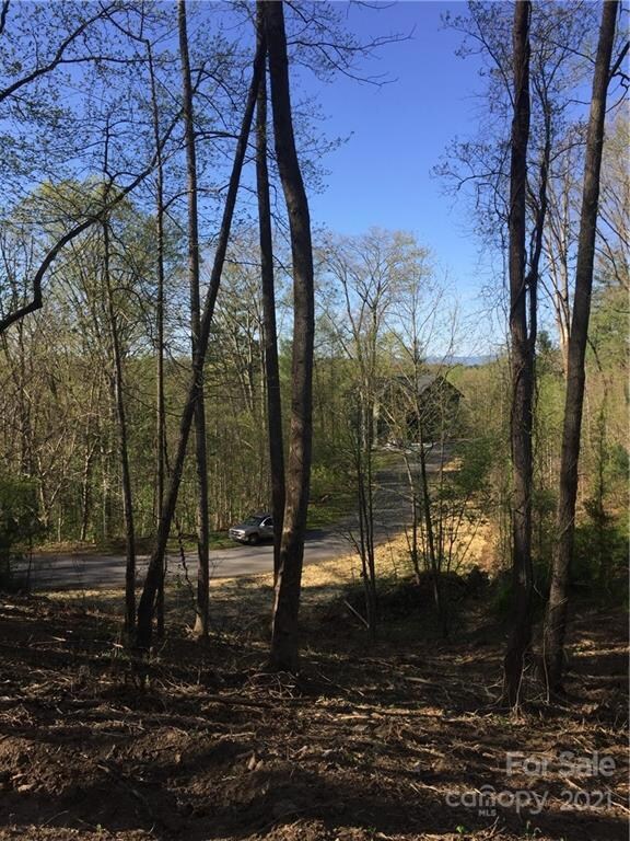 26 Forest Spring Dr unit 33A, Asheville, NC 28804 - photo 3