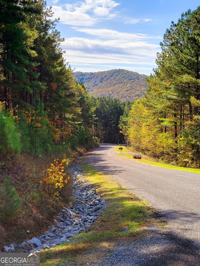 LOT 7 Ridge Top Dr unit 7, Ellijay, GA 30536 - photo 2