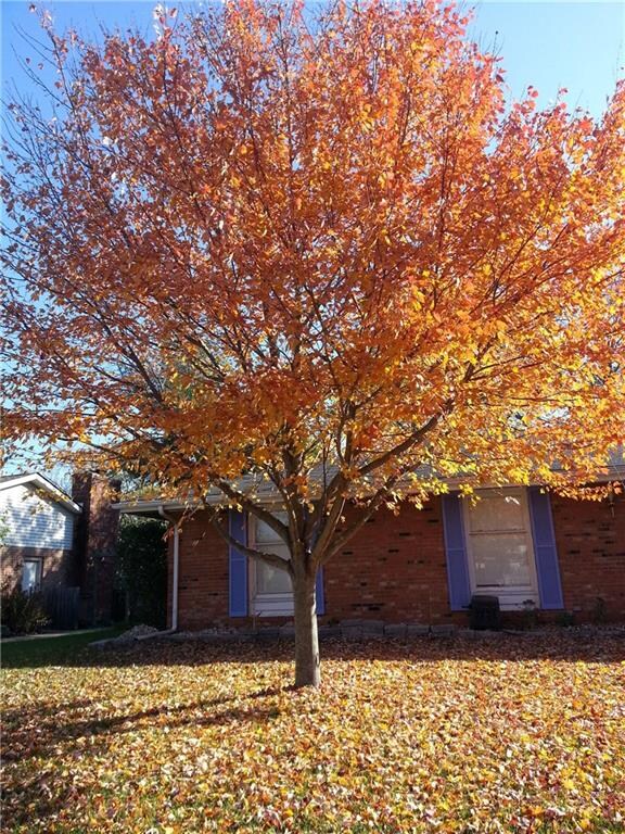 2925 Sassafras Ln, Columbus, IN 47203 - photo 3