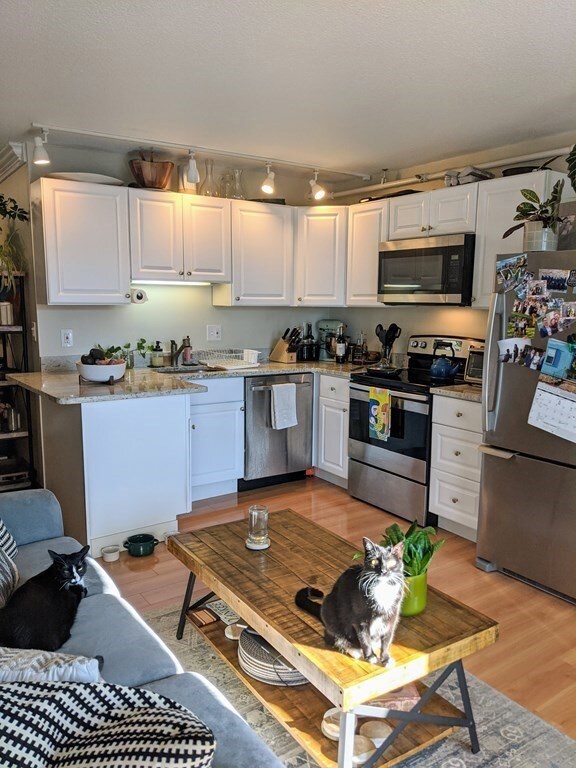 872 Mass Ave unit 411, Cambridge, MA 02139 - photo 3