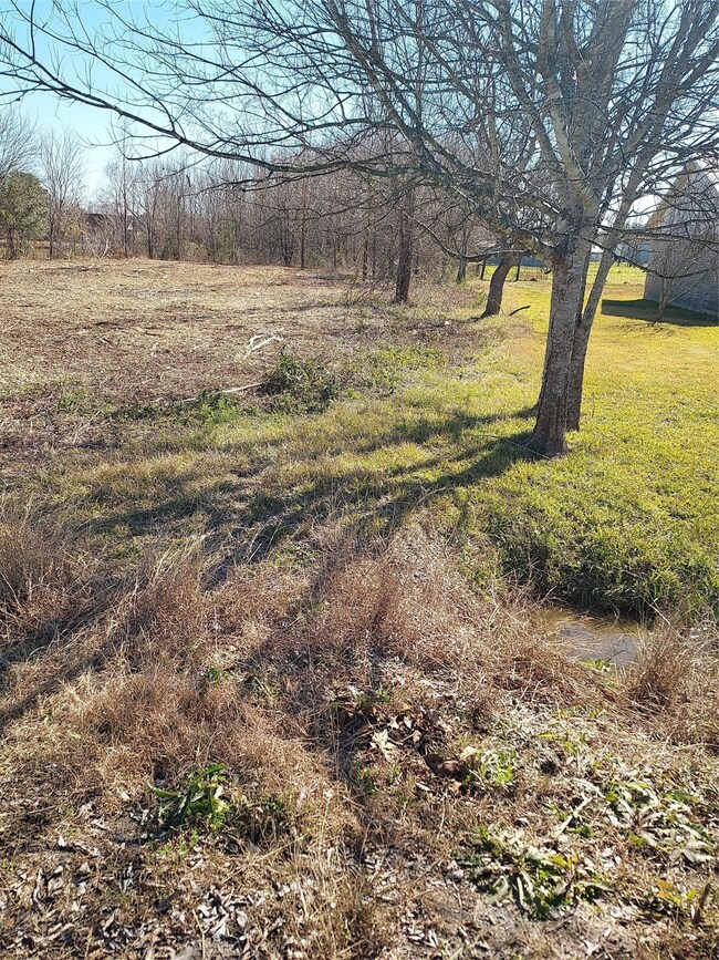 0 Tye Ln, Pearland, TX 77584 - photo 4