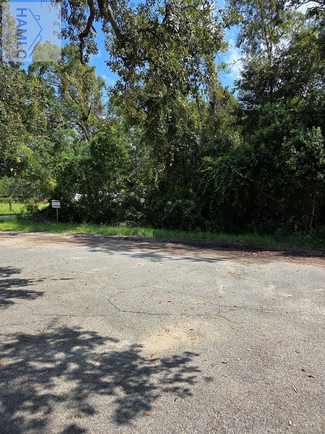 0 Oak St, Jesup, GA 31545 - photo 4