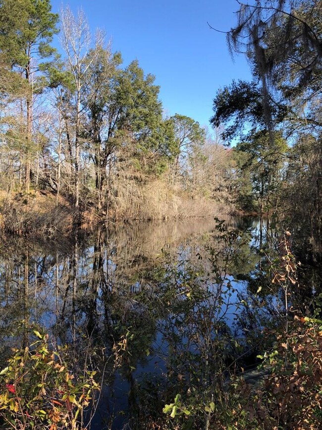 4217 Val Del Rd, Adel, GA 31620 - photo 2