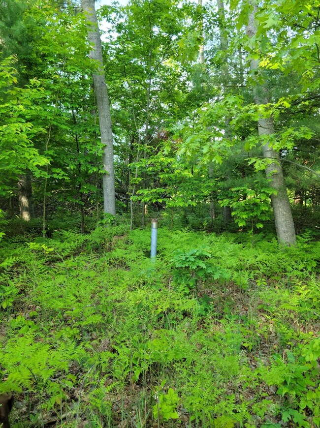 Wooded lot on Bear Creek