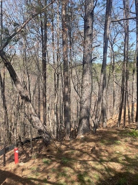 View of local wilderness with a wooded view