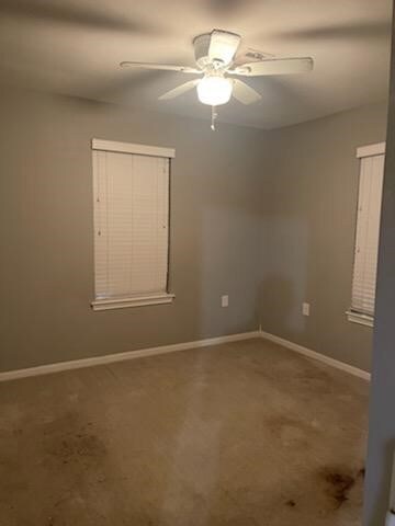 8001 De Priest St, Houston, TX 77088 - photo 5