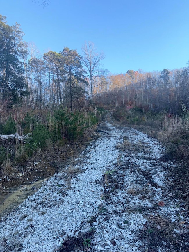 3515 Ky 1232, Gray, KY 40734 - photo 6