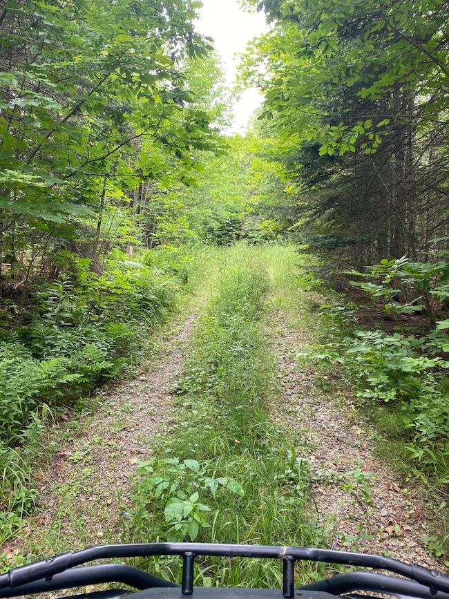 roads through out