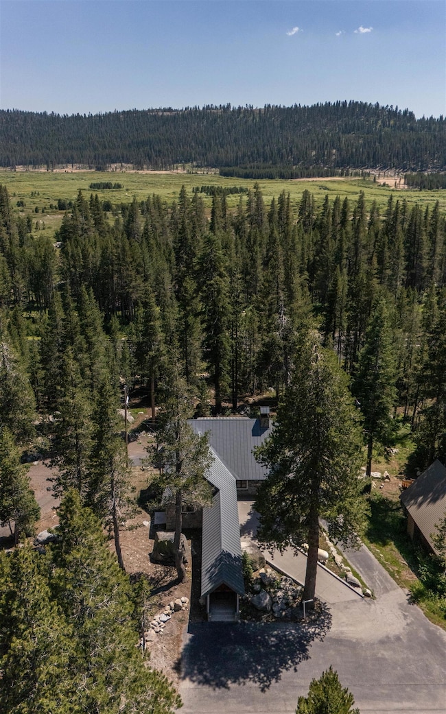 21149 Donner Pass Rd, Soda Springs, CA 95728 - photo 2