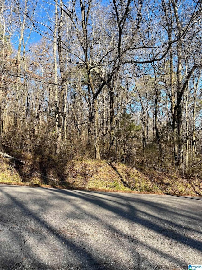 208 Oak Forest Dr unit 1, Birmingham, AL 35217 - photo 3