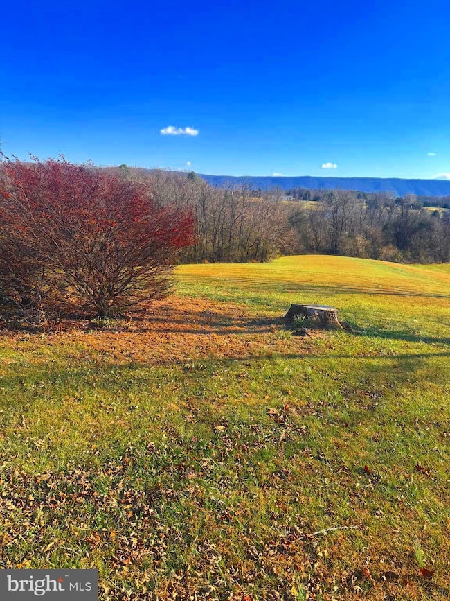 522 Manor Hill Dr, Toms Brook, VA 22660 - photo 5