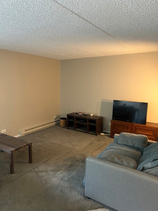 255 S West Ave unit 413, Elmhurst, IL 60126 - photo 7