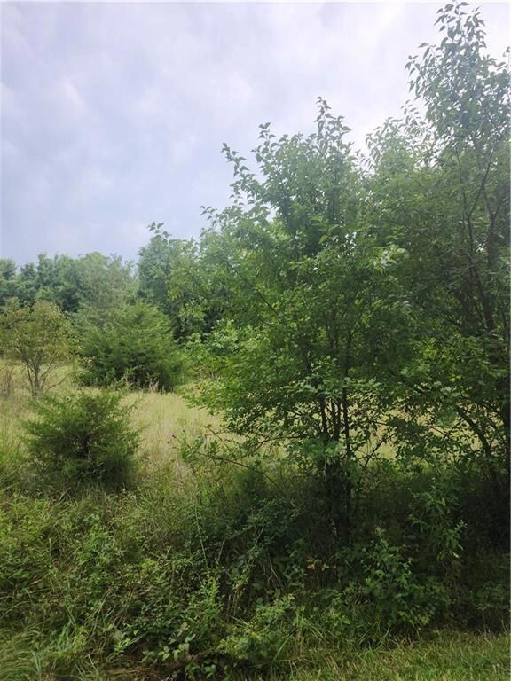 30 Oklahoma Dr, Linn Valley, KS 66040 - photo 4