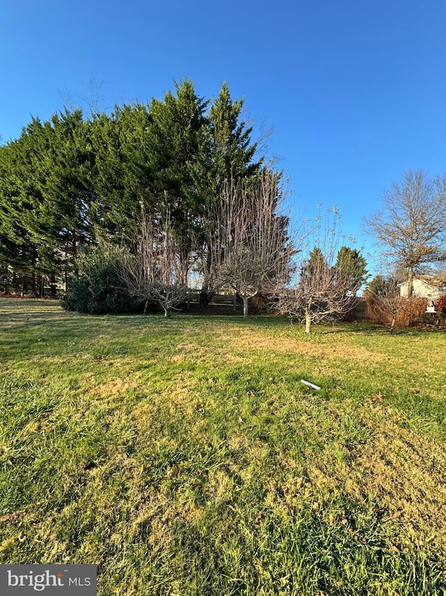 91 Mountain Rd, Rising Sun, MD 21911 - photo 7