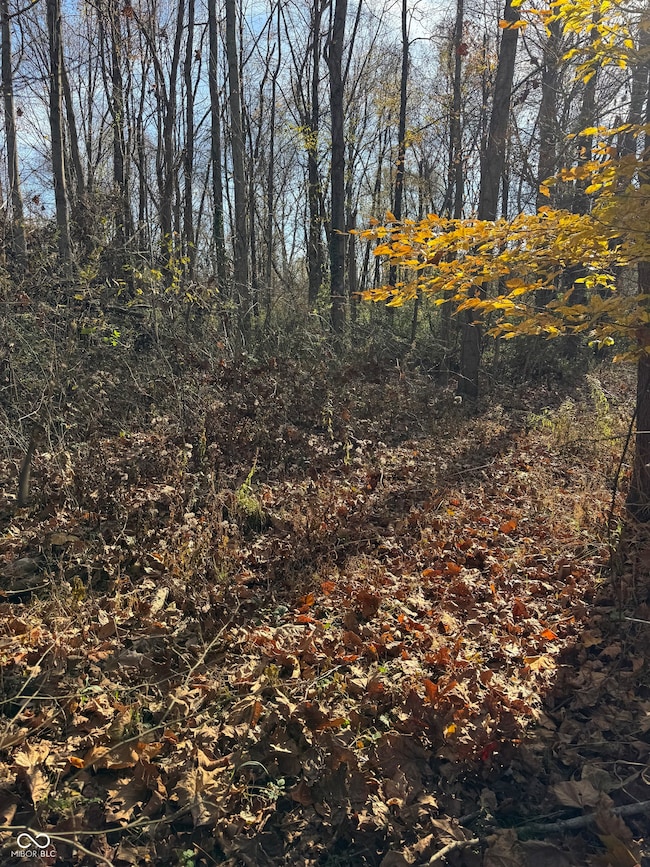 10000 E Block Co Rd 1050 N, Seymour, IN 47274 - photo 5